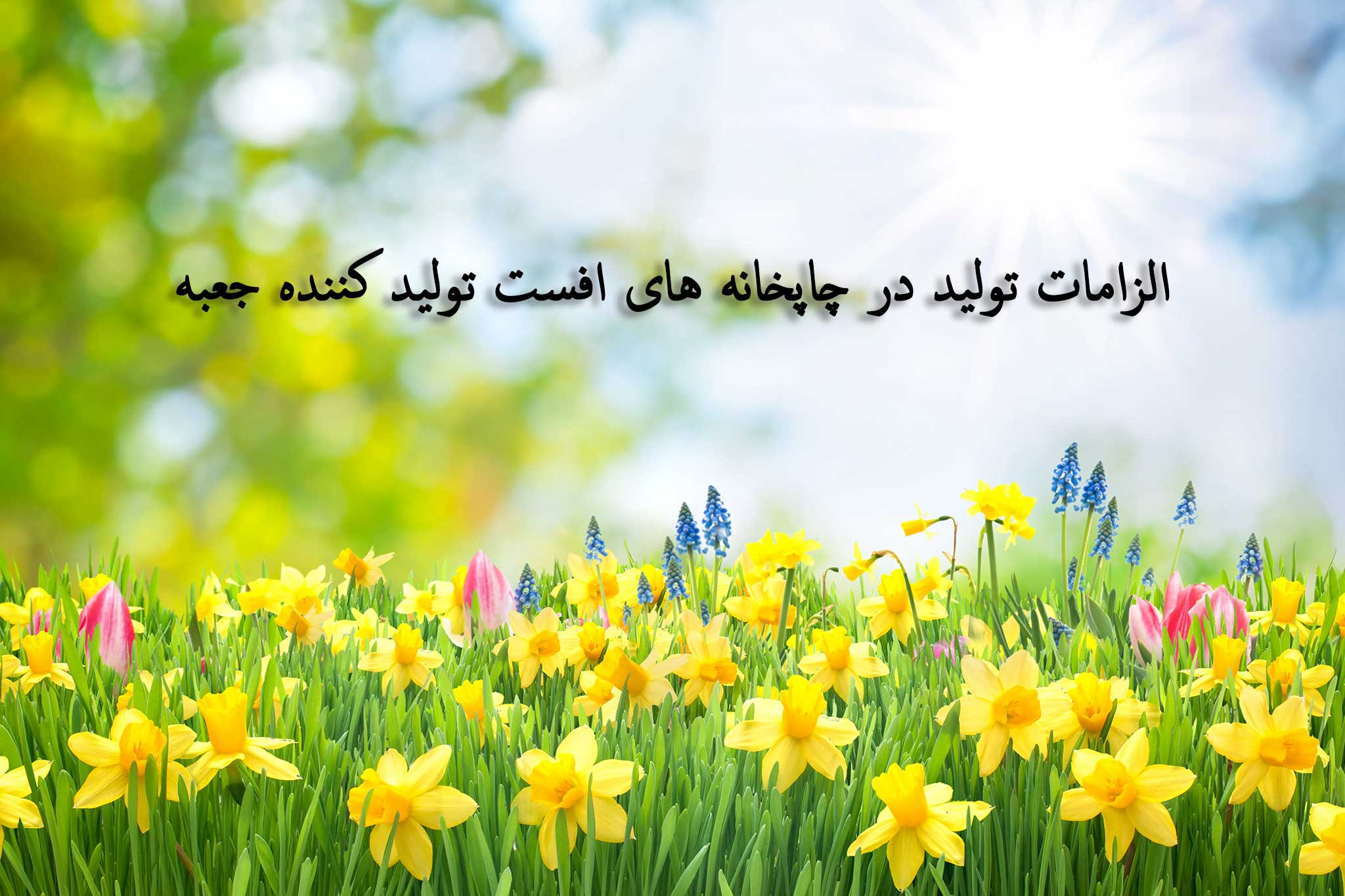 الزامات تولید در چاپخانه های افست تولید کننده جعبه