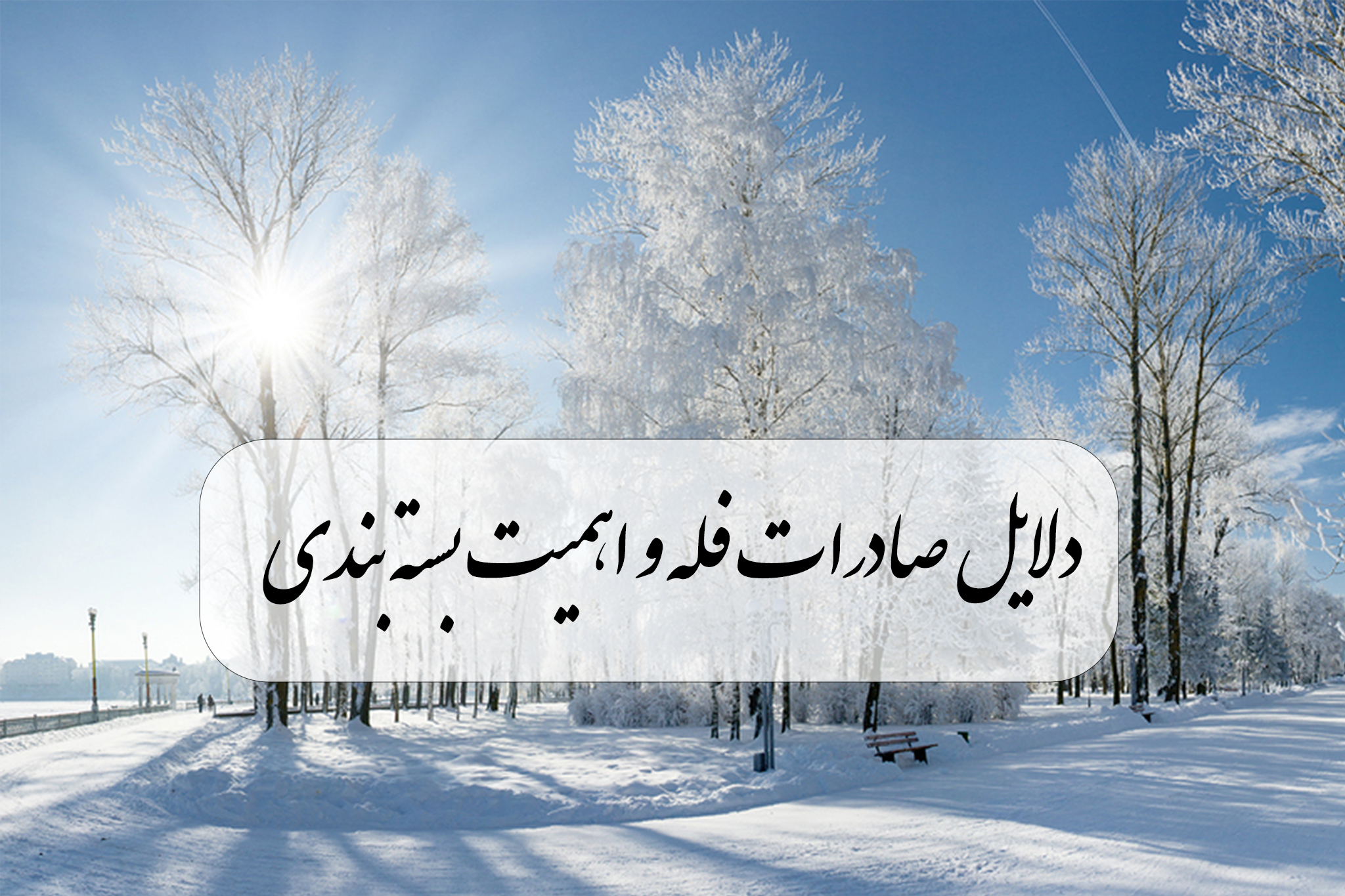 دلایل صادرات فله و اهمیت بسته بندی