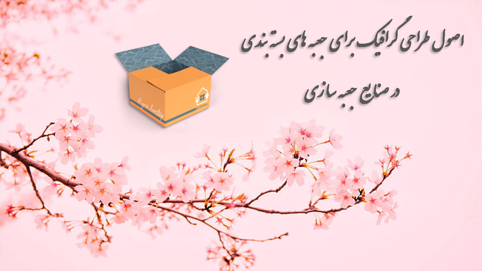 اصول طراحی گرافیک برای جعبه های بسته بندی