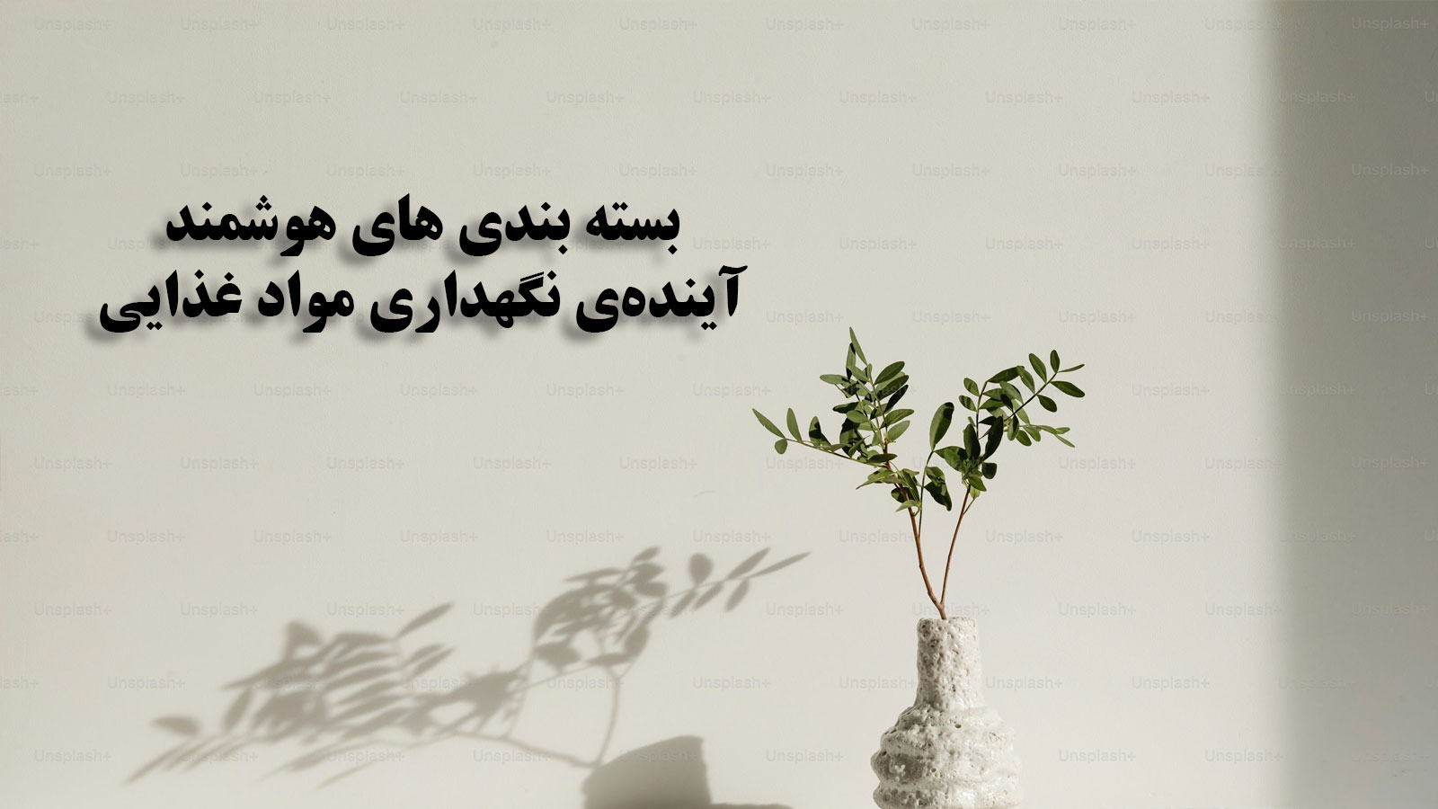 جعبه سازی 18 جعبه سازی و بسته بندی های هوشمند: آیندهی نگهداری مواد غذایی